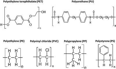 Microbial and Enzymatic Degradation of Synthetic Plastics